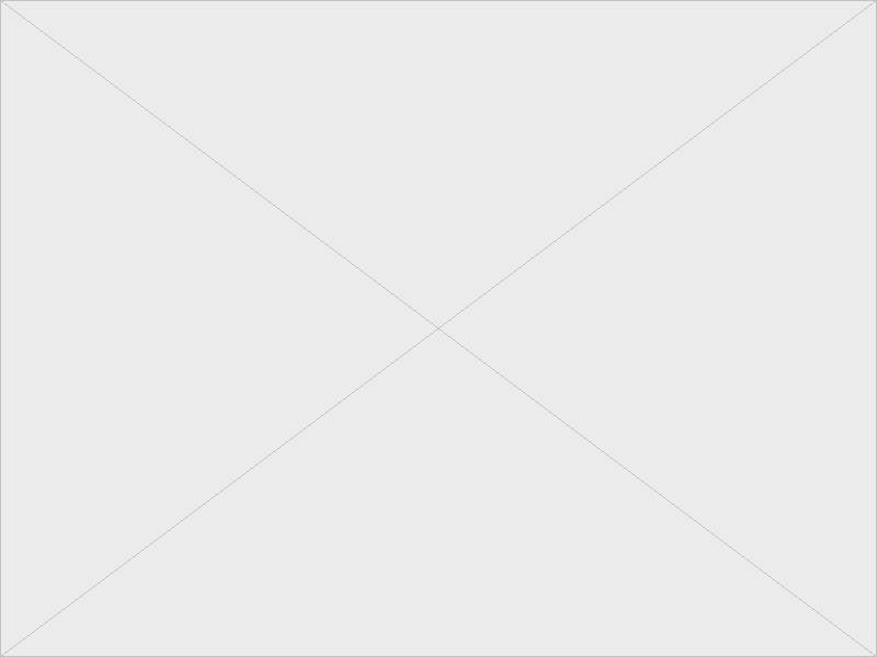 SketchUp 2022 8
